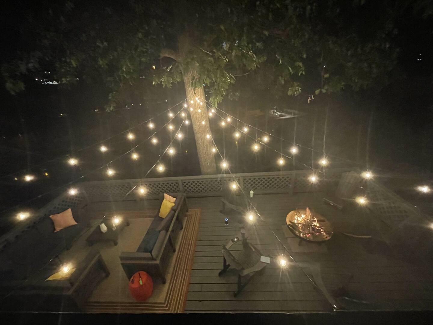 Funky Monkey 21